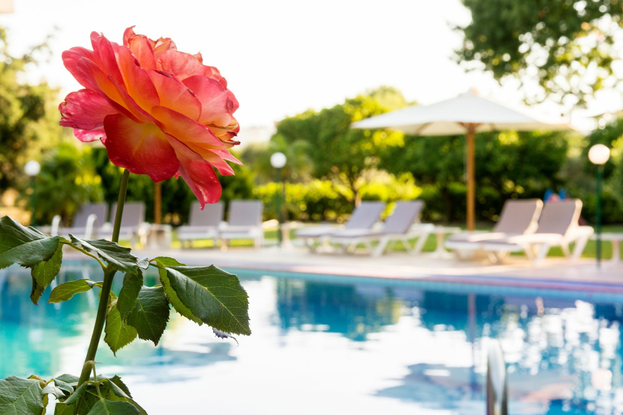 Terinikos Sunny Garden Hotel Junior Suites Ialysos  Buitenkant foto